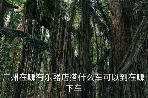 廣州在哪有樂器店搭什么車可以到在哪下車