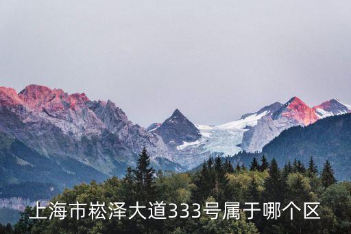 上海市申江路3333號(hào)是哪個(gè)區(qū)，上海市申江路3920是哪個(gè)區(qū)