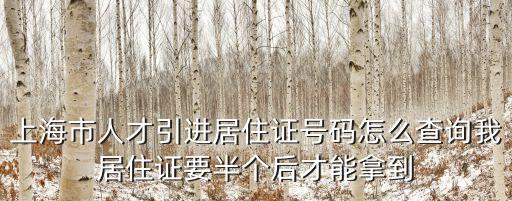 上海市居住證編號沒有了，何處可以查到上海居住證號碼