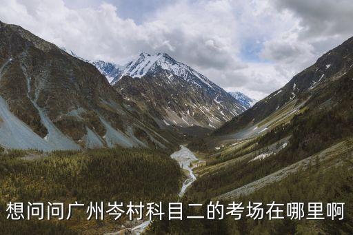 想問(wèn)問(wèn)廣州岑村科目二的考場(chǎng)在哪里啊