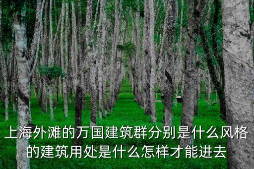 1937年建成上海市政府大樓，上海確切的建城年份是哪一年