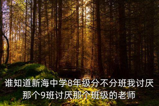 誰知道新海中學8年級分不分班我討厭那個9班討厭那個班級的老師