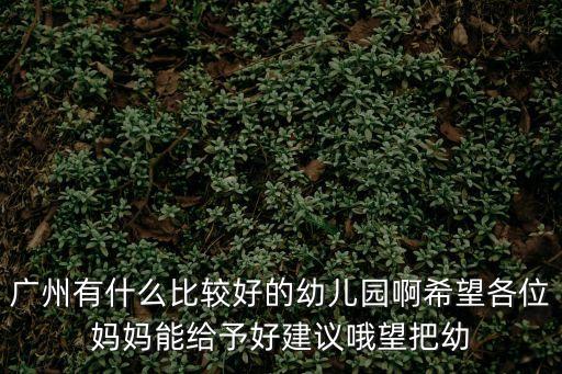 廣州有什么比較好的幼兒園啊希望各位媽媽能給予好建議哦望把幼
