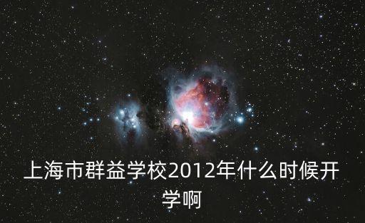 上海市上海縣杜行鄉群益小學，上海西南和群益兩個學校那個好啊
