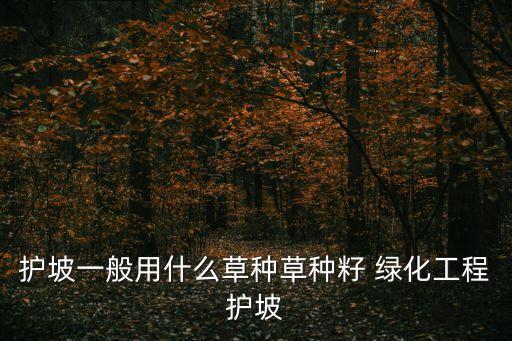 廣州護坡草坪種子，復綠工程用什么種子好0哪些草坪種子適合護坡種植