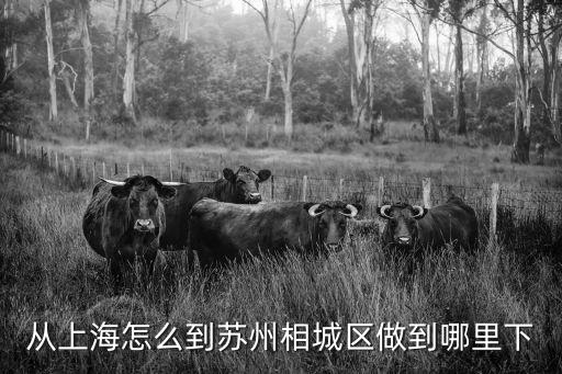 從上海怎么到蘇州相城區做到哪里下