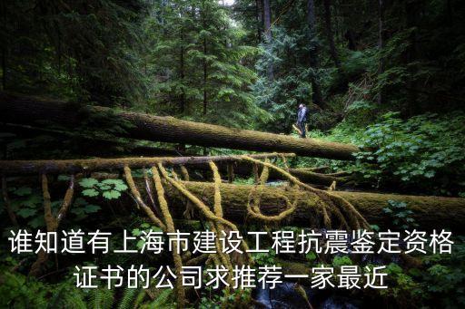 上海市既有建筑抗震鑒定，什么是抗震鑒定