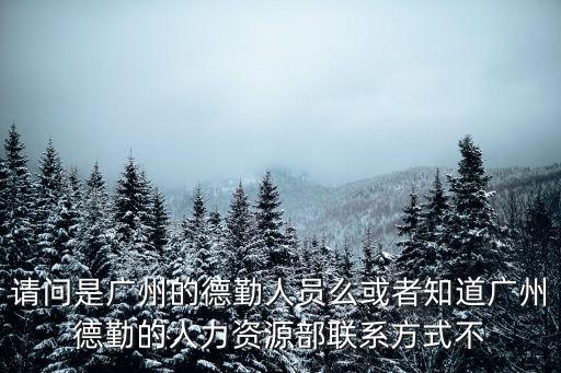 請問是廣州的德勤人員么或者知道廣州德勤的人力資源部聯系方式不
