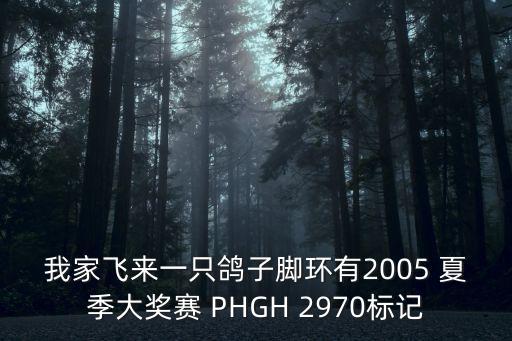 我家飛來一只鴿子腳環有2005 夏季大獎賽 PHGH 2970標記