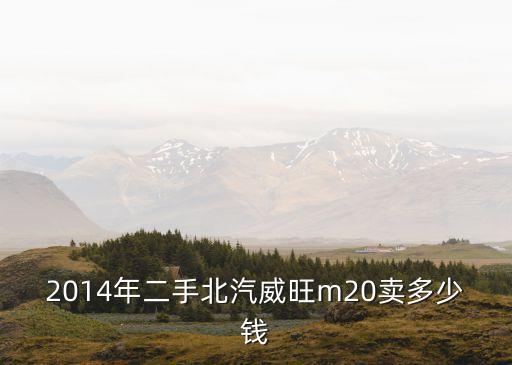 2014年二手北汽威旺m20賣多少錢