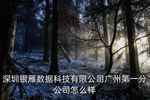 深圳銀雁數據科技有限公司廣州第一分公司怎么樣