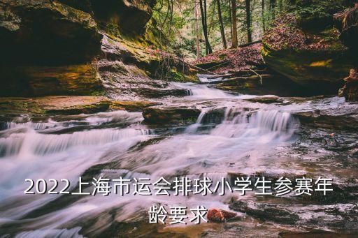 上海市運會上海體院排球，上海哪里有打排球的地方