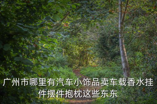 廣州市哪里有汽車小飾品賣車載香水掛件擺件抱枕這些東東