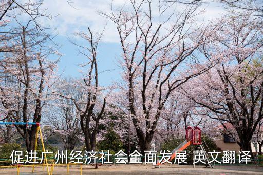 促進廣州經濟社會全面發展 英文翻譯