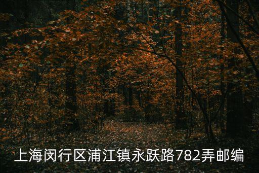 上海閔行區浦江鎮永躍路782弄郵編