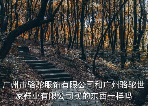 廣州駱駝logo，廣州市駱駝服飾有限公司和廣州駱駝世家鞋業有限公司買的東西一樣嗎
