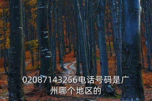 02087143256電話號碼是廣州哪個地區的
