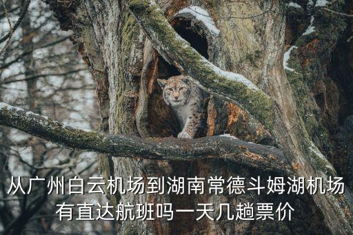 從廣州白云機(jī)場(chǎng)到湖南常德斗姆湖機(jī)場(chǎng)有直達(dá)航班嗎一天幾趟票價(jià)