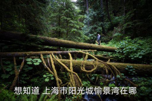 想知道 上海市陽光城愉景灣在哪