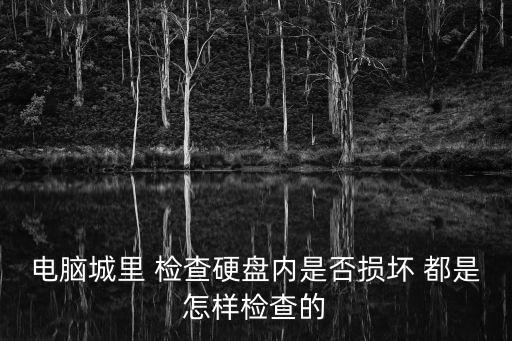 電腦城里 檢查硬盤內是否損壞 都是怎樣檢查的