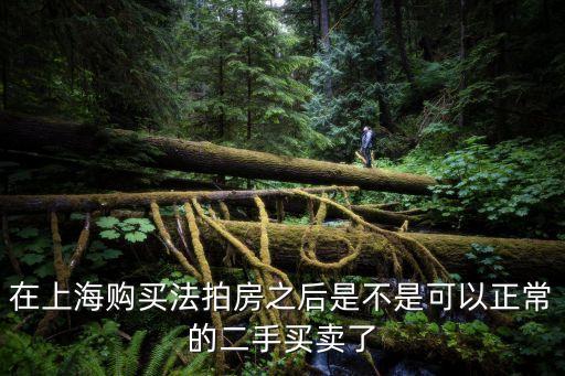 在上海購(gòu)買(mǎi)法拍房之后是不是可以正常的二手買(mǎi)賣(mài)了