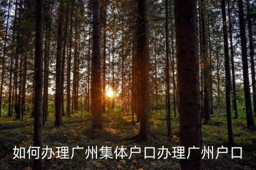 如何辦理廣州集體戶口辦理廣州戶口