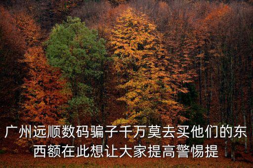 廣州遠(yuǎn)順數(shù)碼騙子千萬莫去買他們的東西額在此想讓大家提高警惕提