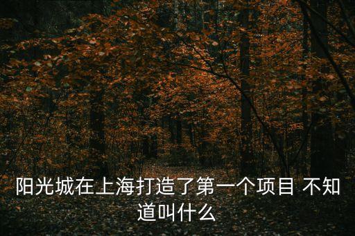 陽(yáng)光城在上海打造了第一個(gè)項(xiàng)目 不知道叫什么