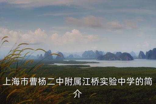 上海市曹楊附屬校長紀長有，上海普陀曹楊中學(xué)校長是誰