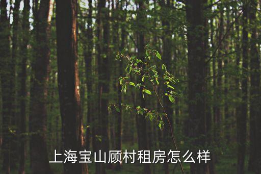 上海寶山顧村租房怎么樣