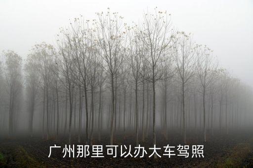 廣州那里可以辦大車駕照