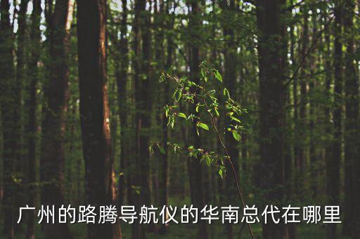 廣州的路騰導(dǎo)航儀的華南總代在哪里