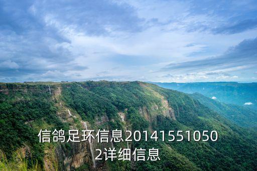 廣州賽鴿名家何錦輝，中國信鴿網