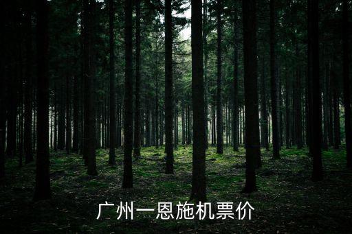 廣州一恩施機票價
