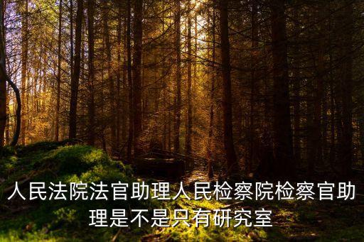 人民法院法官助理人民檢察院檢察官助理是不是只有研究室