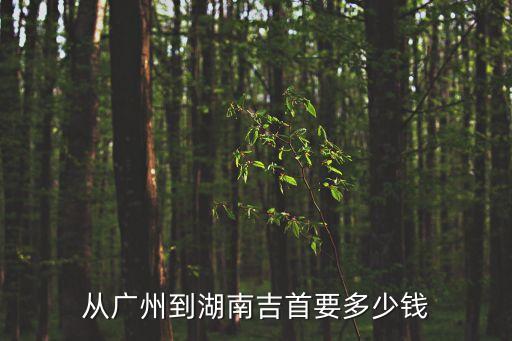 廣州到吉首高速費多少，廣州至吉首全程高速有多少公里