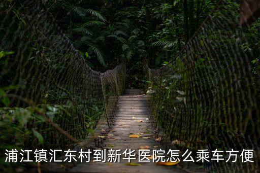 浦江鎮匯東村到新華醫院怎么乘車方便