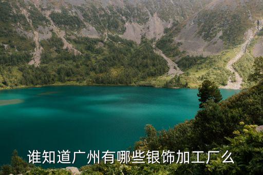 誰知道廣州有哪些銀飾加工廠么