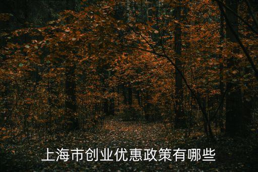 上海市創業貼息貸款政策，上海大學生創業免息貸款