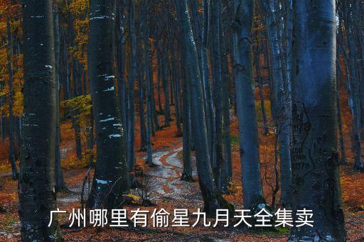 廣州哪里有偷星九月天全集賣