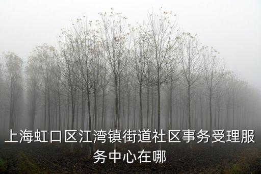 上海市虹口區奎照路9號，上海虹口區江灣鎮街道社區事務受理服務中心在哪