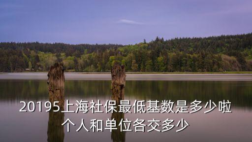 20195上海社保最低基數(shù)是多少啦個(gè)人和單位各交多少