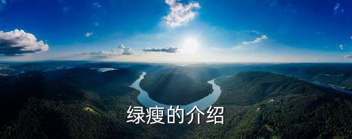 廣州綠瘦李先生，廣州綠瘦的核心人物有哪些