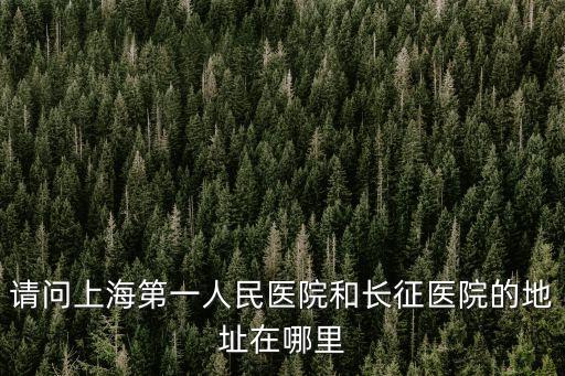 文禮 上海市第一人民醫院，上海第一人民醫院的具體地址在哪里
