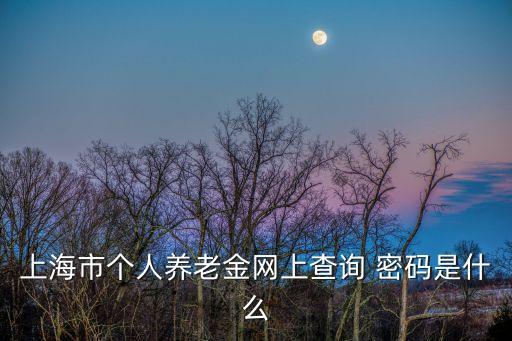上海市人社登錄密碼，上海市個(gè)人養(yǎng)老金網(wǎng)上查詢 密碼是什么