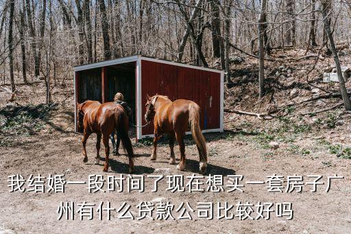 我結婚一段時間了現在想買一套房子廣州有什么貸款公司比較好嗎