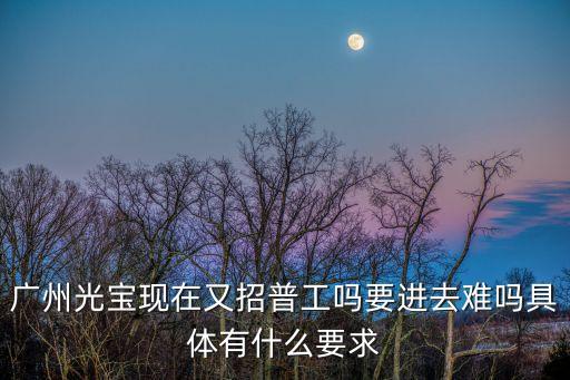廣州光寶招暑假工嗎，廣州光寶電子廠還招員工嗎