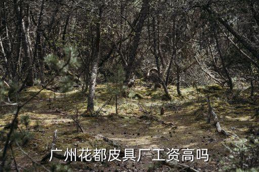 廣州花都皮具廠工資高嗎
