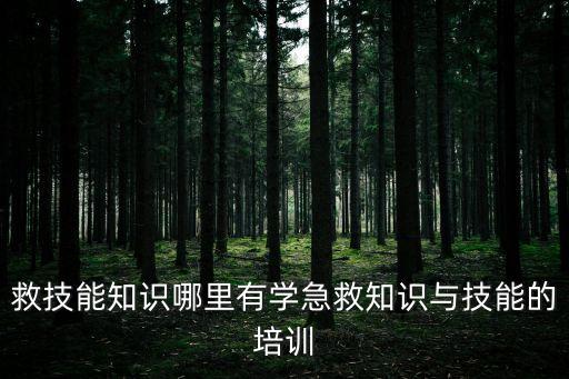救技能知識哪里有學急救知識與技能的培訓