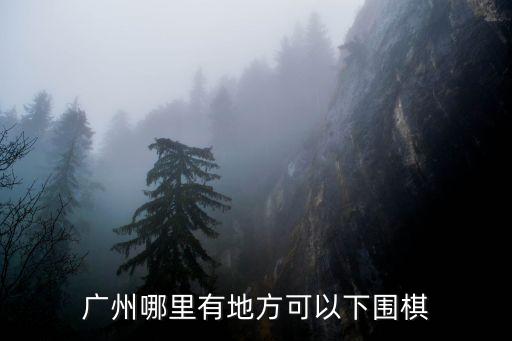 廣州哪里有地方可以下圍棋